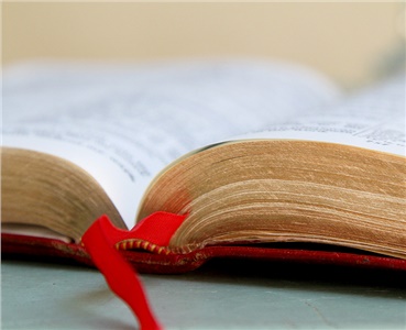 【家事报告】新年新貌，生命更新——四十天“与主同行”默想学习